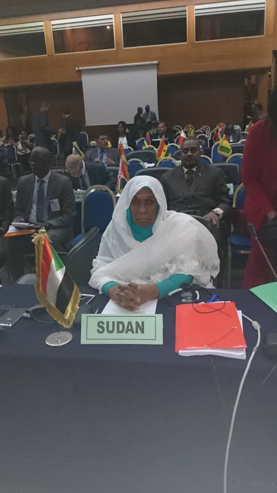 وزير الدولة تترأس وفد السودان المشارك في اجتماعات الدورة الطارئة رقم (3) في السنقال